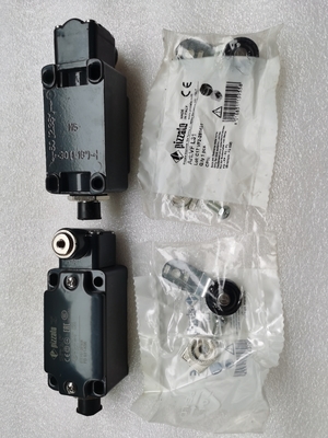 60117974 repuestos para grúas sobre orugas GY-S-1NO+1NC-75 LimitSwitch